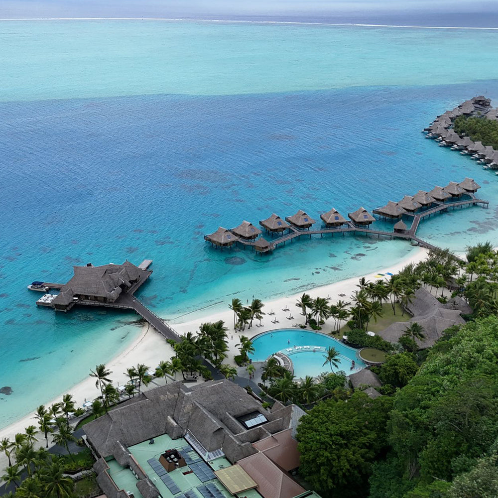 The Quest for the Black Pearls of Tahiti: A Tale of Nature’s Dark Marvels