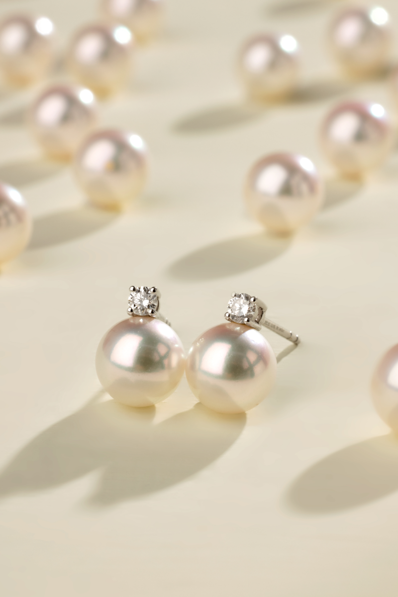 Possibility Collection