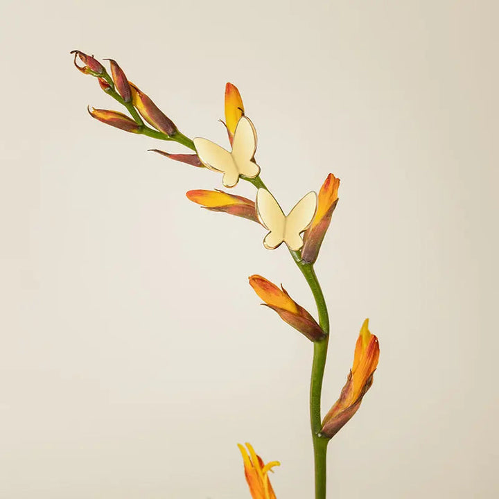Gold vermeil butterfly stud earrings styled on orange botanical stem, 925 sterling silver